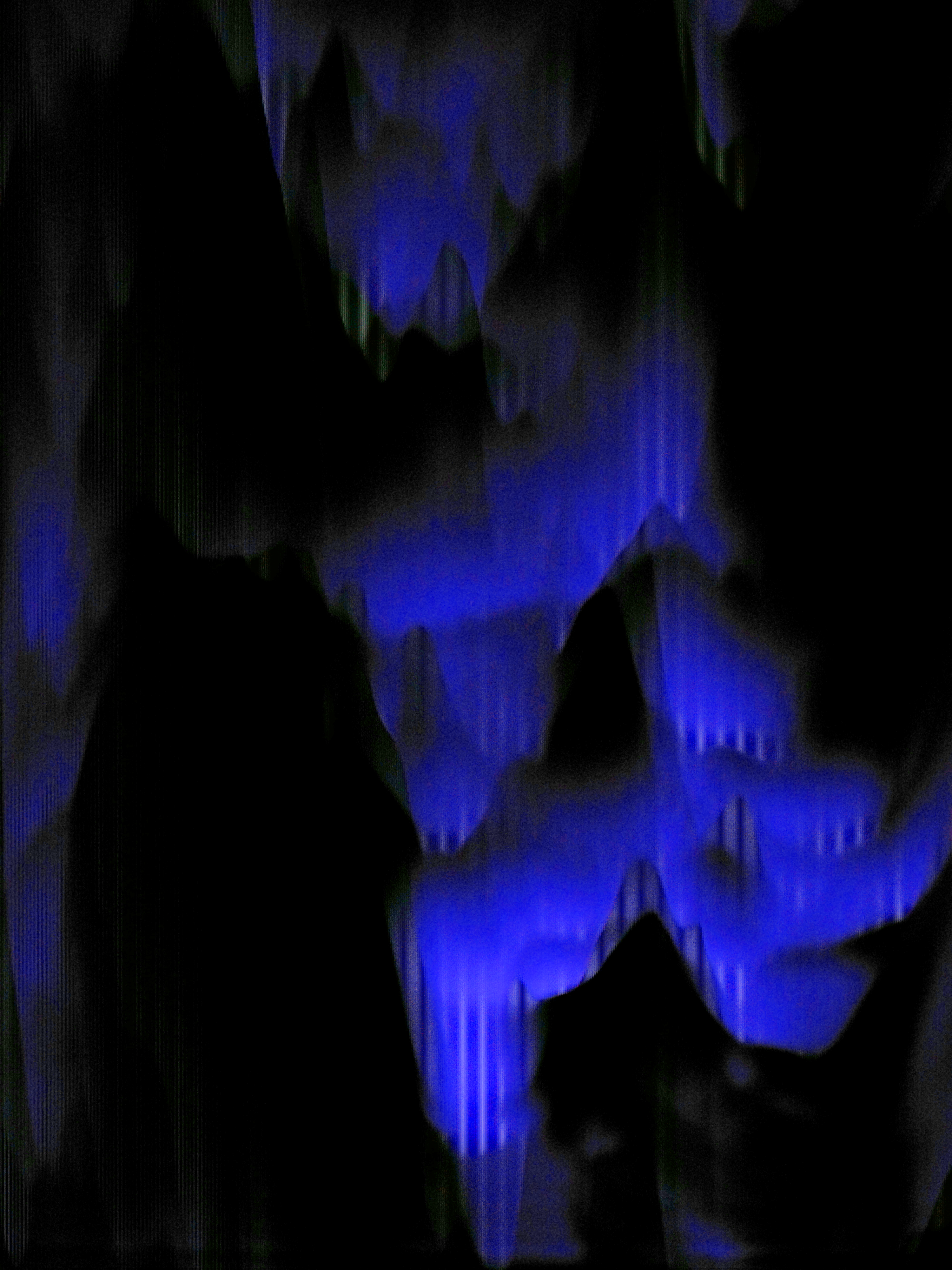 Project Image 1