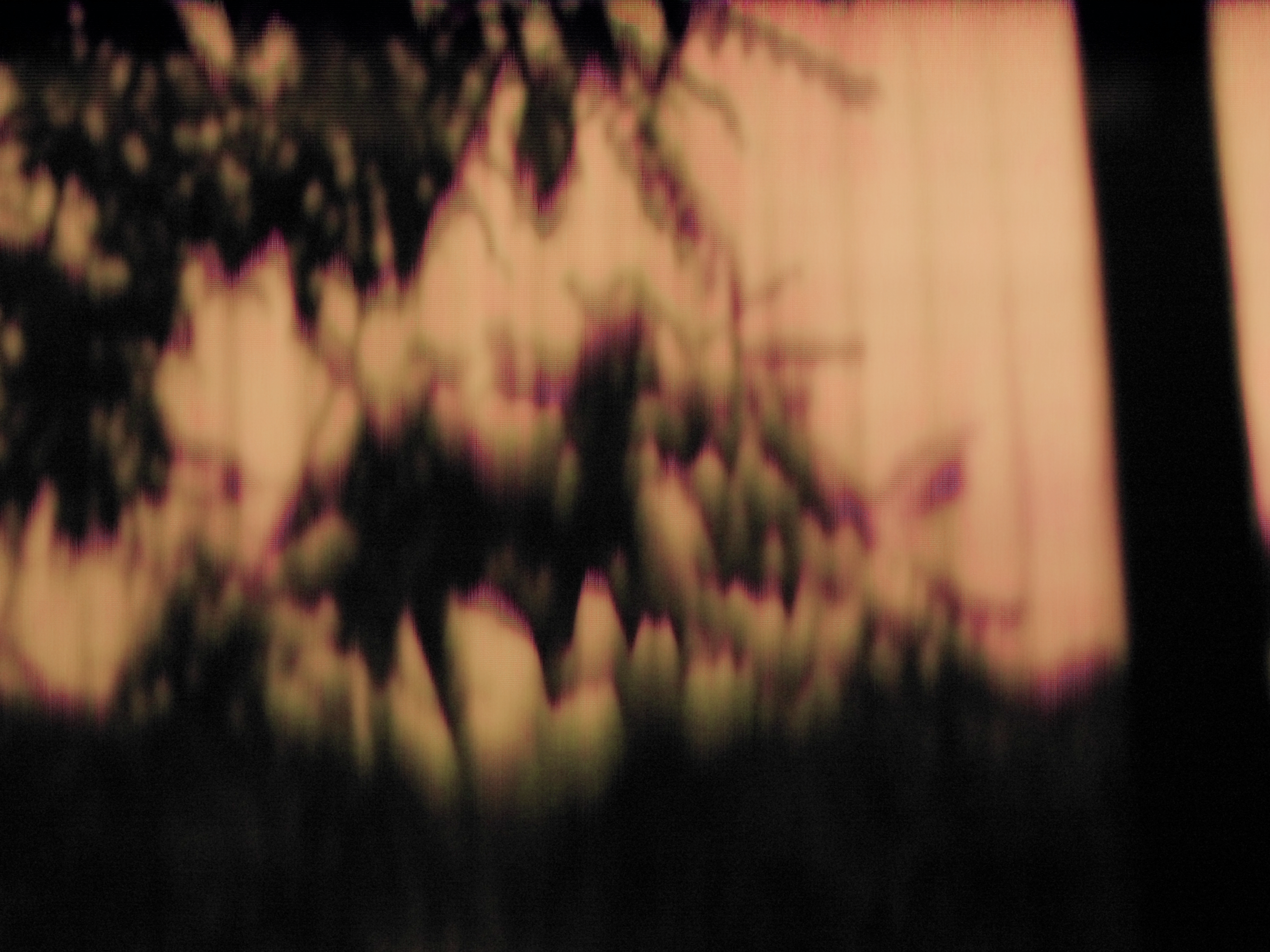 Project Image 1