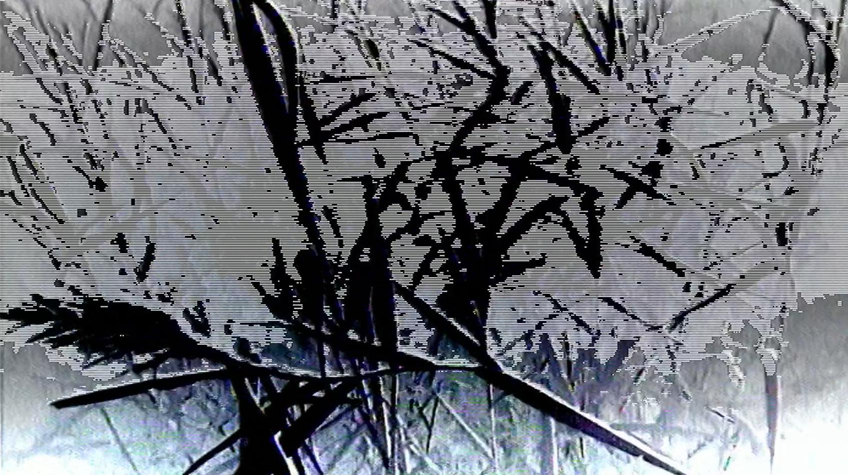 Project Image 1