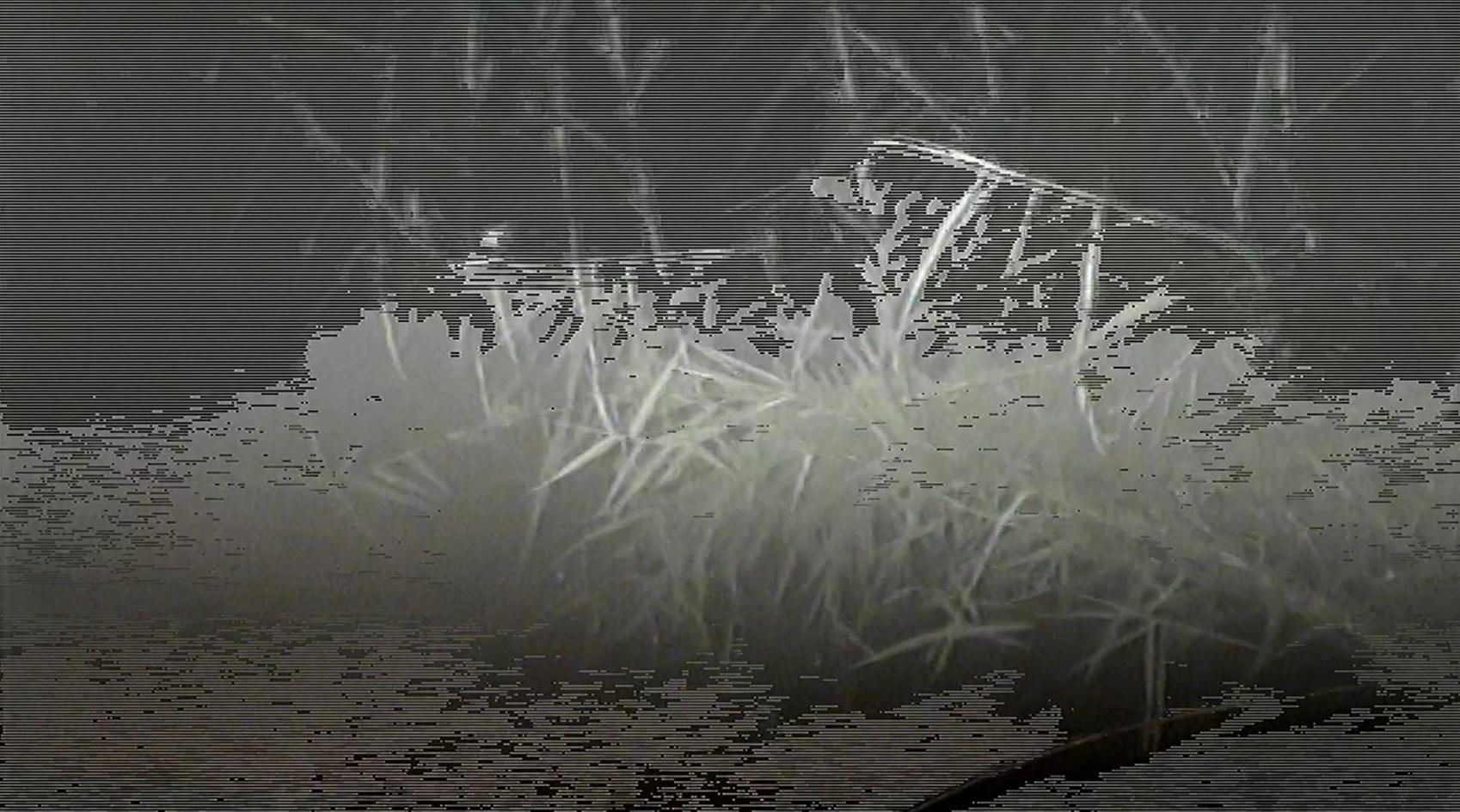 Project Image 1